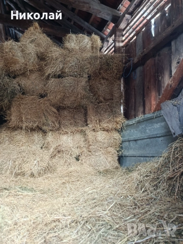 Малки бали сено 