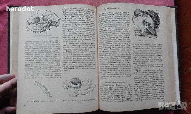 Зоология для учителя - А.А.Яхонтов, снимка 7 - Специализирана литература - 31562848