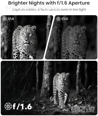 Нова соларна камера за диви животни 4K 64MP Bluetooth App 0.1s тригер, снимка 5 - Друга електроника - 52815743