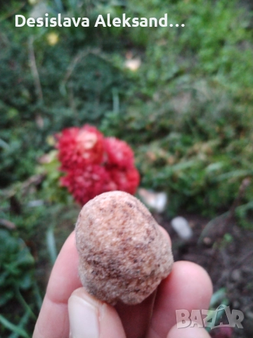 Томсонит от Индия, много изгодно , снимка 2 - Колекции - 52739993