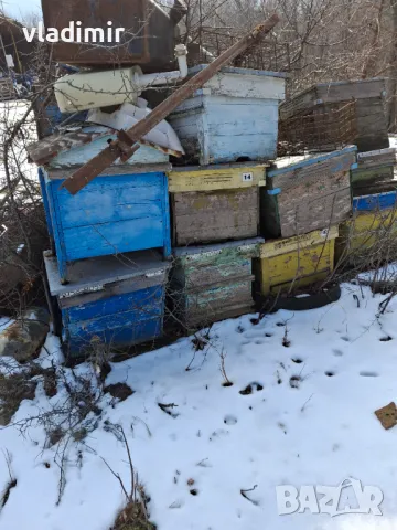 Кошери, снимка 2 - За пчели - 49276311