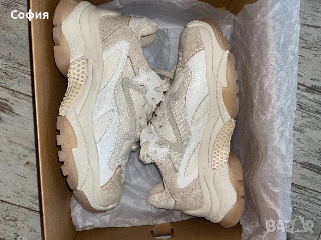 Обувки Ash, снимка 1