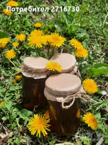 Домашен мед от глухарчета - ценен източник на здраве, снимка 4 - Домашни продукти - 51643611