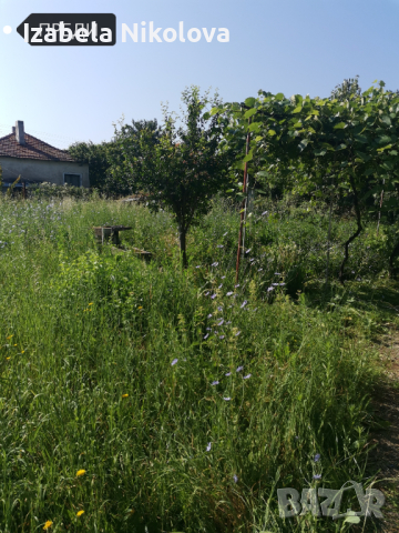 Косене и поддържане на тревни площи , снимка 2 - Други услуги - 44727600