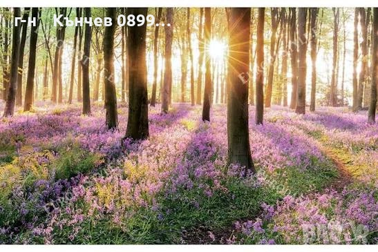 продавам гора 