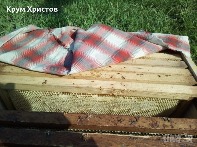 Български полифлорен пчелен мед 2023 -опаковки ~1кг. и ~25кг. (полски букет-слънчоглед), снимка 3 - Други - 29594647