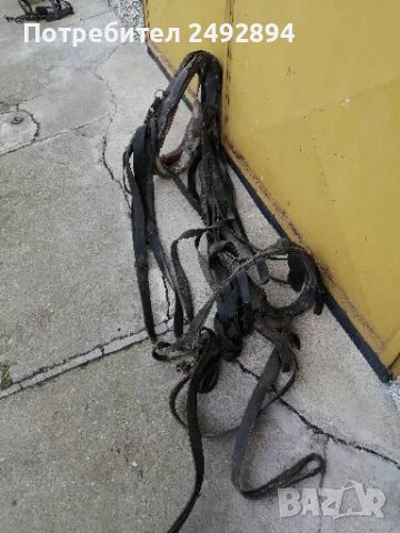 Конски хамут , снимка 10 - Други животни - 37651566