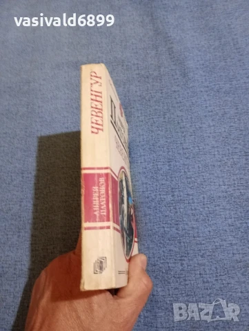 Андрей Платонов - Чевенгур , снимка 2 - Художествена литература - 50589679