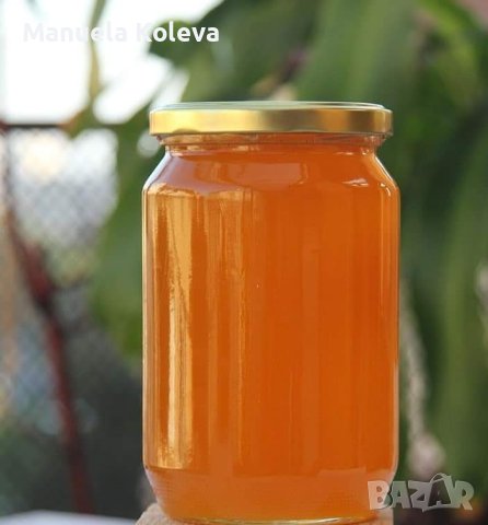МЕД, снимка 1 - Пчелни продукти - 24981008