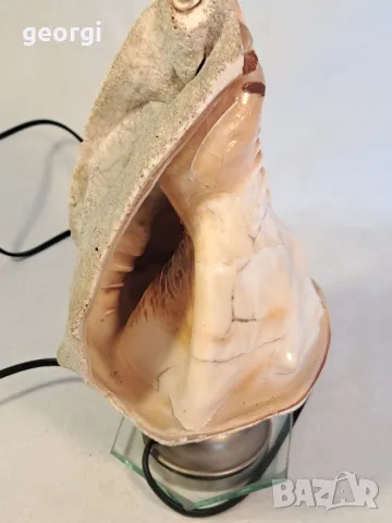 нощна лампа камея рапан 21/4, снимка 3 - Настолни лампи - 49175507