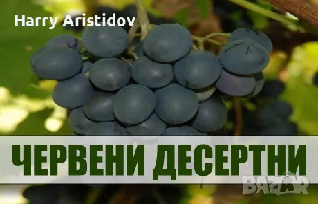 Лози и овощни дръвчета, снимка 2 - Разсади - 47966079