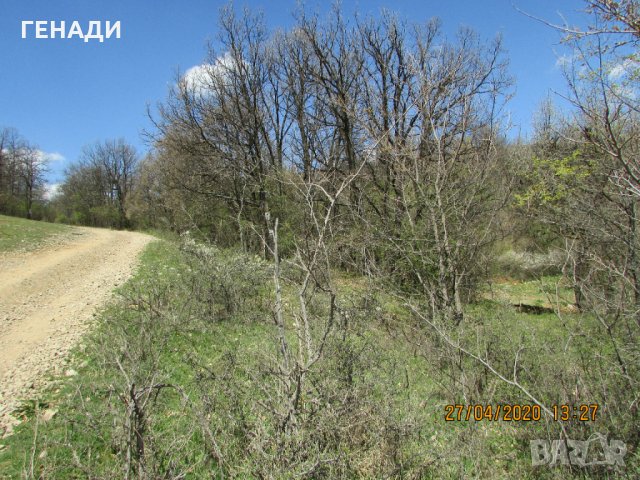 продава земеделска земя в с.Боснек, снимка 8 - Земеделска земя - 29111692