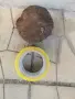 СТАРО АНТИЧНО ГЮЛЕ 1/2 1908261059, снимка 13