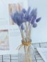 Сноп 10 бр натурален Овален лагурус Заешка опашка пухчета декорация аранжиране ваза букет цветя сухи, снимка 17