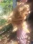 Кокер лагото на 3 месеца , снимка 1