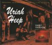 Компакт дискове CD Uriah Heep ‎– Sweet Freedom, снимка 1 - CD дискове - 35068016