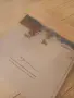 Константин Щъркелов, Самотникът скитник, каталог СГХГ, снимка 11