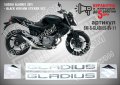 Suzuki Gladius 2011 Black Version SM-S-GLADIUS-BV-11, снимка 1 - Аксесоари и консумативи - 42474536