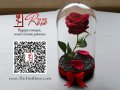 Вечна роза в голяма стъкленица - Стилен подарък за рожден ден на жена / Уникален подарък за юбилей, снимка 3