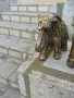 Комплект 2бр.слонове с вдигнат нагоре хобот., снимка 3