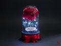 Вечна Роза в Стъкленица с Лампички / LED светлини / Подарък за Рожден Ден - Светеща Вечна Роза, снимка 4