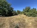 къща село Върбово,община Харманли, снимка 5