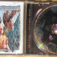 Setiva - Alter ego CD, снимка 3 - CD дискове - 39995090
