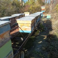 пчеларска платформа , снимка 6 - За пчели - 42864761