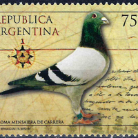 Аржентина 1999 - птици MNH, снимка 1 - Филателия - 36540231