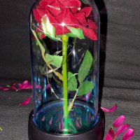 Оригинална вечна светеща роза в стъкленица, снимка 3 - Романтични подаръци - 44328827