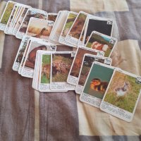 Стари карти за игра Piatnik, снимка 3 - Други ценни предмети - 30915718