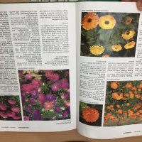 Енциклопедия A-Z of Annuals, Biennials & Bulbs (Successful Gardening), снимка 3 - Енциклопедии, справочници - 30873162