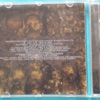 Jigsore Terror – 2004 - World End Carnage (Grindcore,Death Metal), снимка 5 - CD дискове - 39122106
