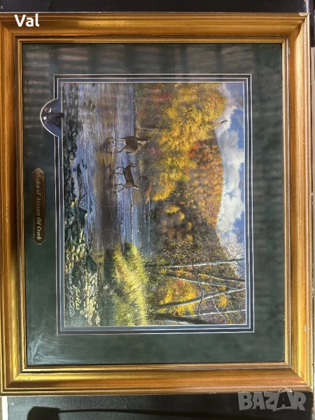 Картина , снимка 1