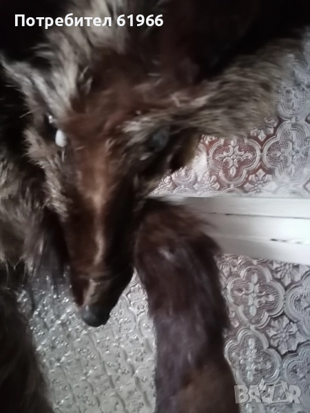 Сребърна богата лисича яка! , снимка 1