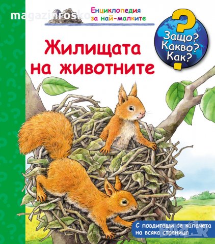 ЗАЩО? КАКВО? КАК?, снимка 15 - Детски книжки - 31407378