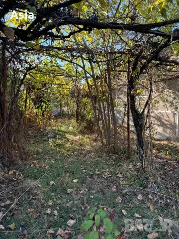 Къща с. Пъдарско,обл. ПЛОВДИВ, снимка 4 - Къщи - 55802687