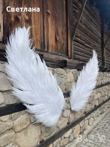 Декоративни пера за закачване, снимка 3 - Декорация за дома - 49873312