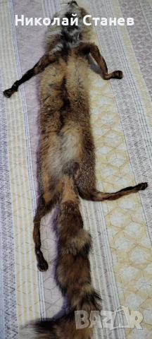 Продавам яка от лисица, снимка 3 - Други - 51369487