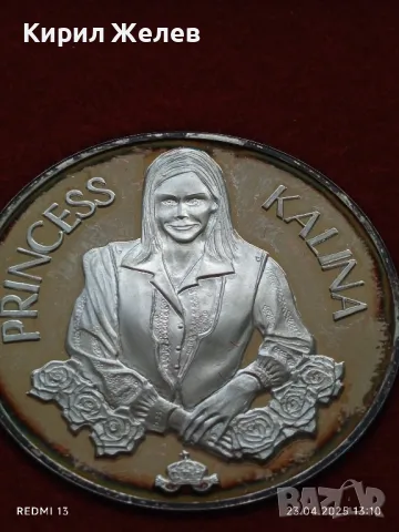 Плакет Европейско първенство по кърлинг2004г. София Принцеса Калина 49561, снимка 3 - Антикварни и старинни предмети - 50003454