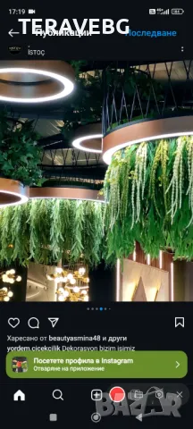 Висящи изкуствени растения , снимка 8 - Изкуствени цветя - 48670825