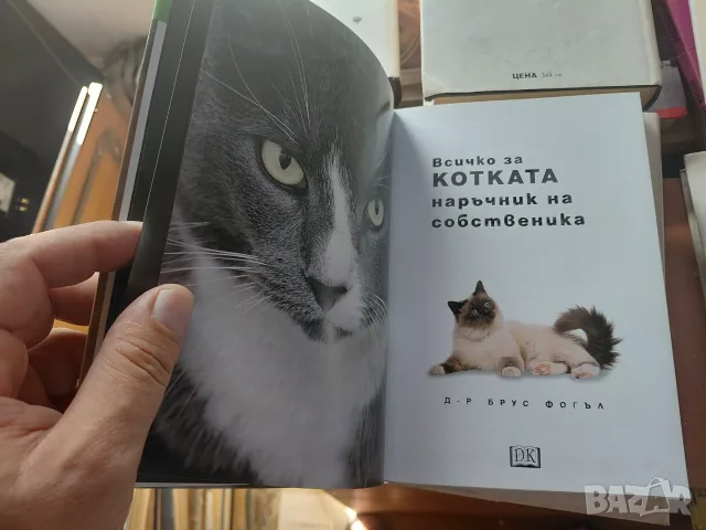 Всичко за котката, снимка 4 - Специализирана литература - 56453997