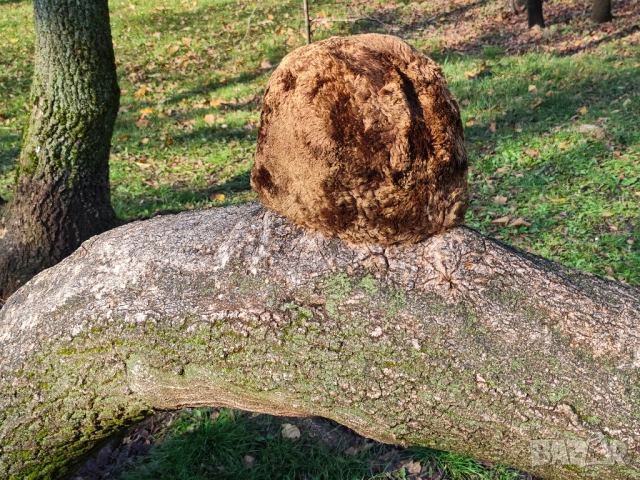 Продавам стар калпак за носия