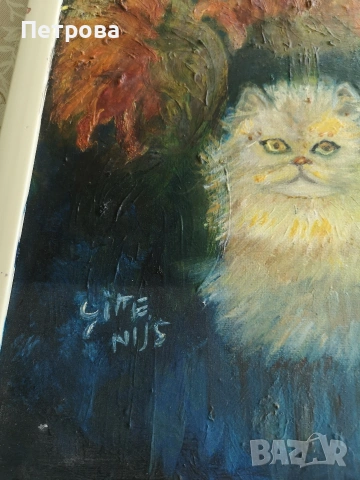 Маслена картина върху платно , снимка 2 - Картини - 54236324