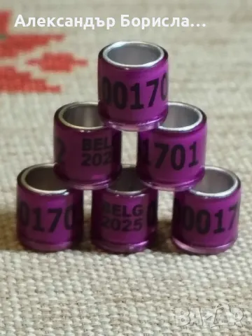 Пожизнени пръстени за 2025 г., снимка 8 - За птици - 48763435