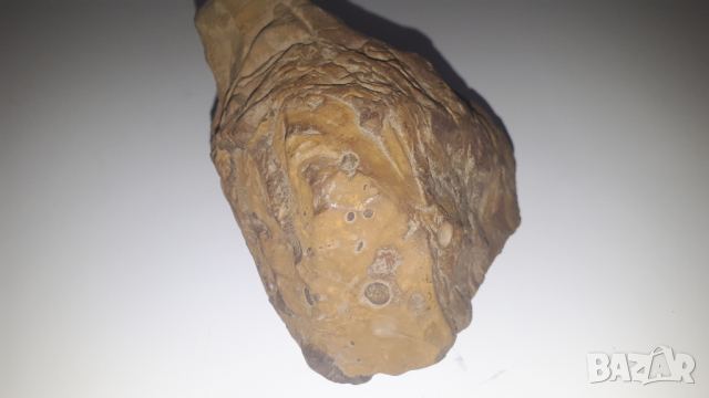 Красив камък за декорация, снимка 5 - Декорация за дома - 44719742