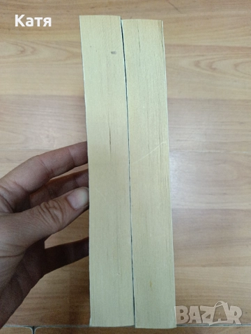 Мечът на истината. Лавинен огън. Книга 1-2, снимка 4 - Художествена литература - 51772047