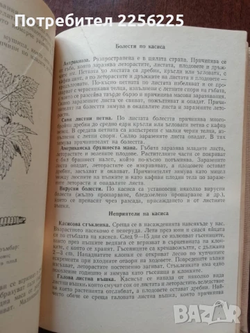 Календар на овощаря, снимка 4 - Специализирана литература - 50611522