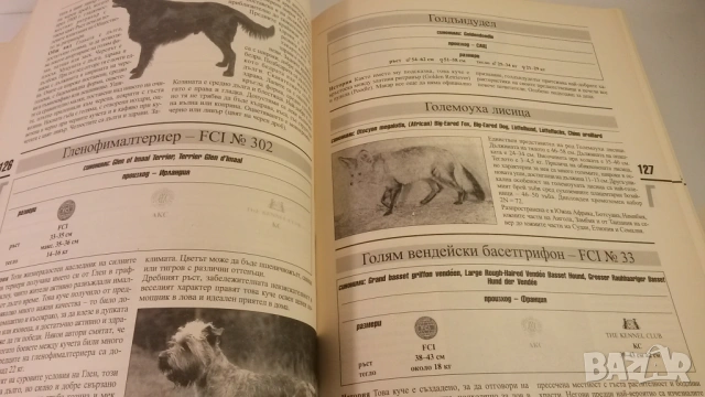 Световна енциклопедия на кучетата - Венелин Динчев, снимка 10 - Енциклопедии, справочници - 54083830