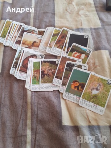 Стари карти за игра Piatnik, снимка 3 - Други ценни предмети - 30915718